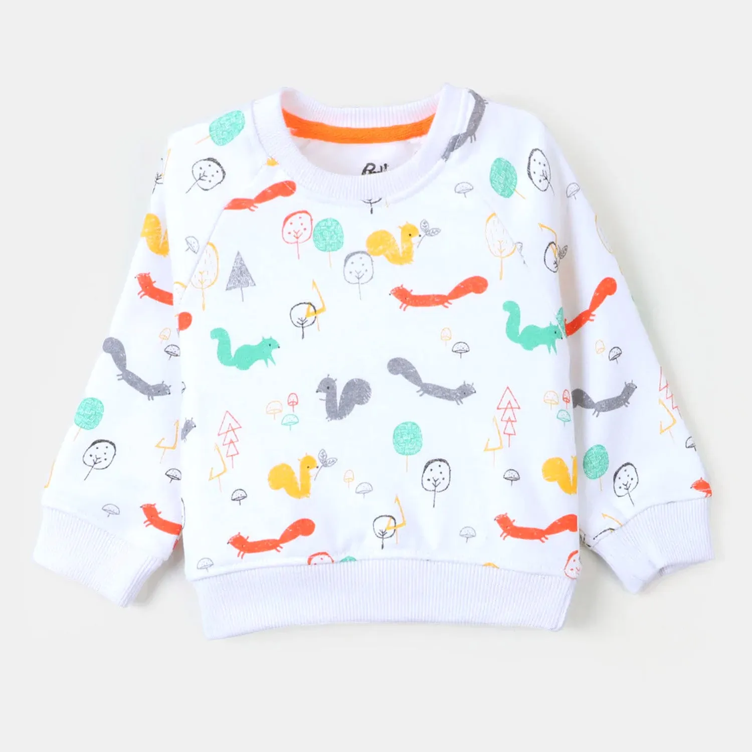 Boys Sweatshirt Squirrel - White