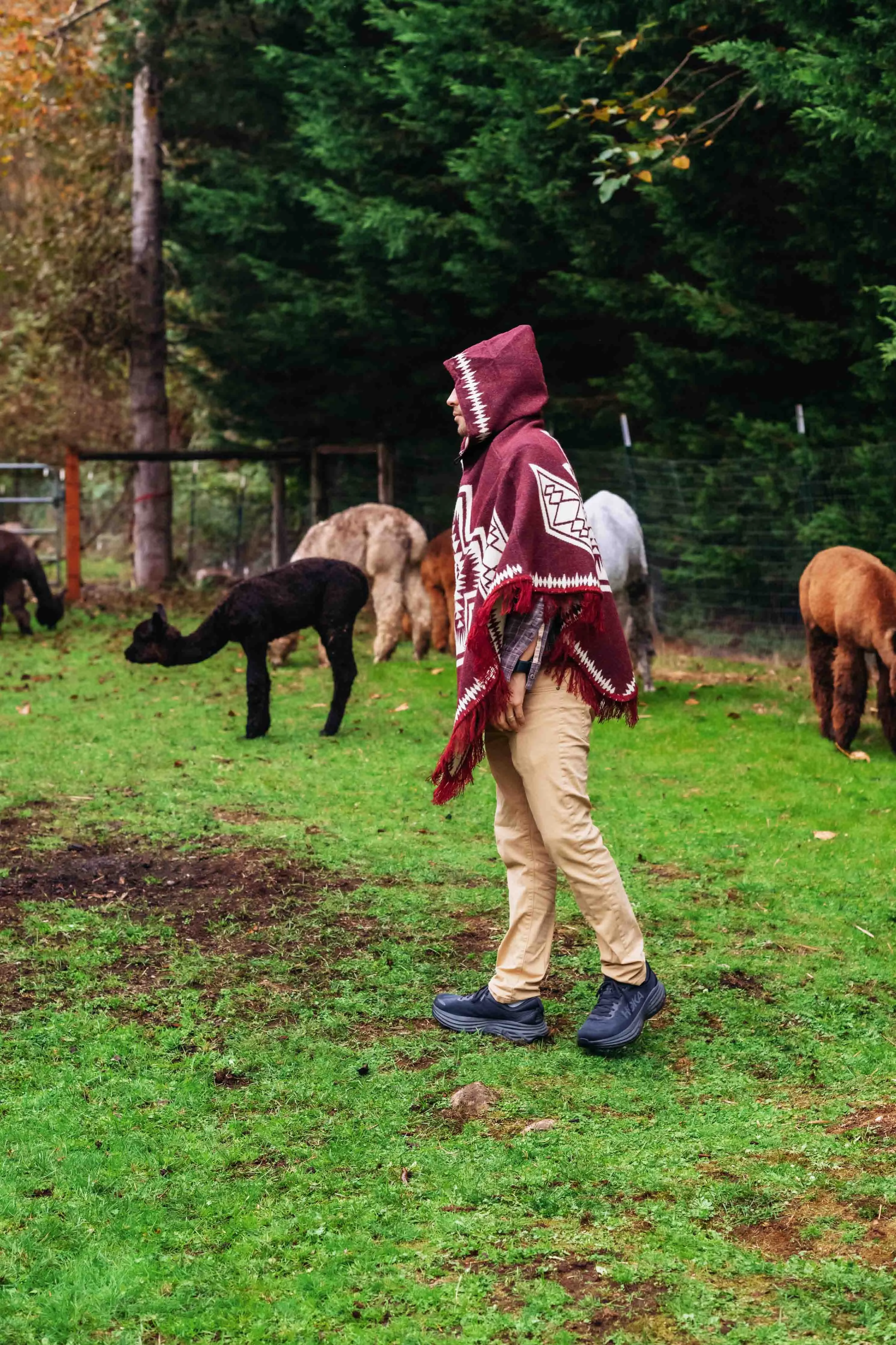 Conquistador - Burgundy - Alpaca Poncho with Native Pattern Triangular Design