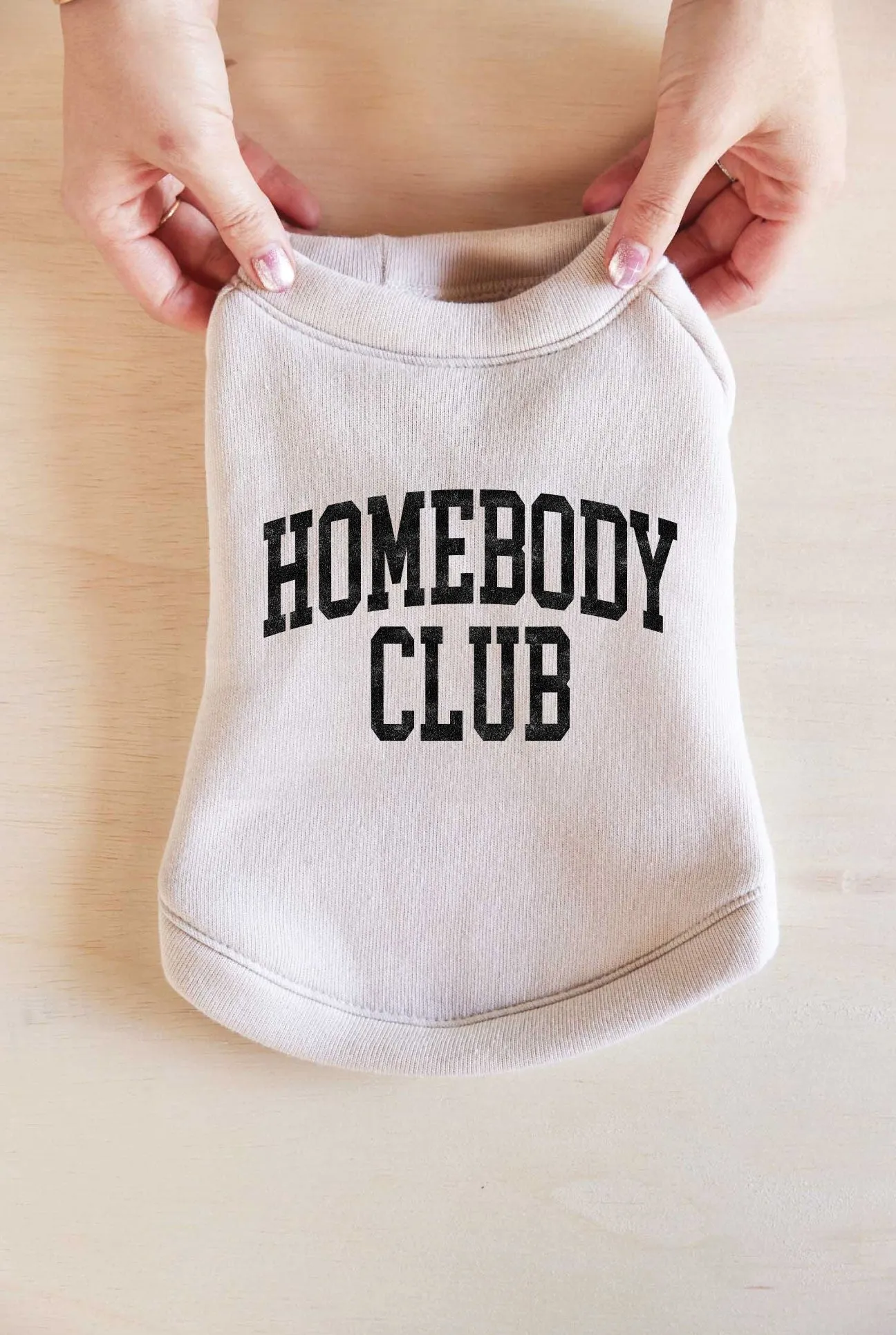 Dog 'Homebody Club' Heather Dust Vintage Distressed Ultra Cozy Sweatshirt-