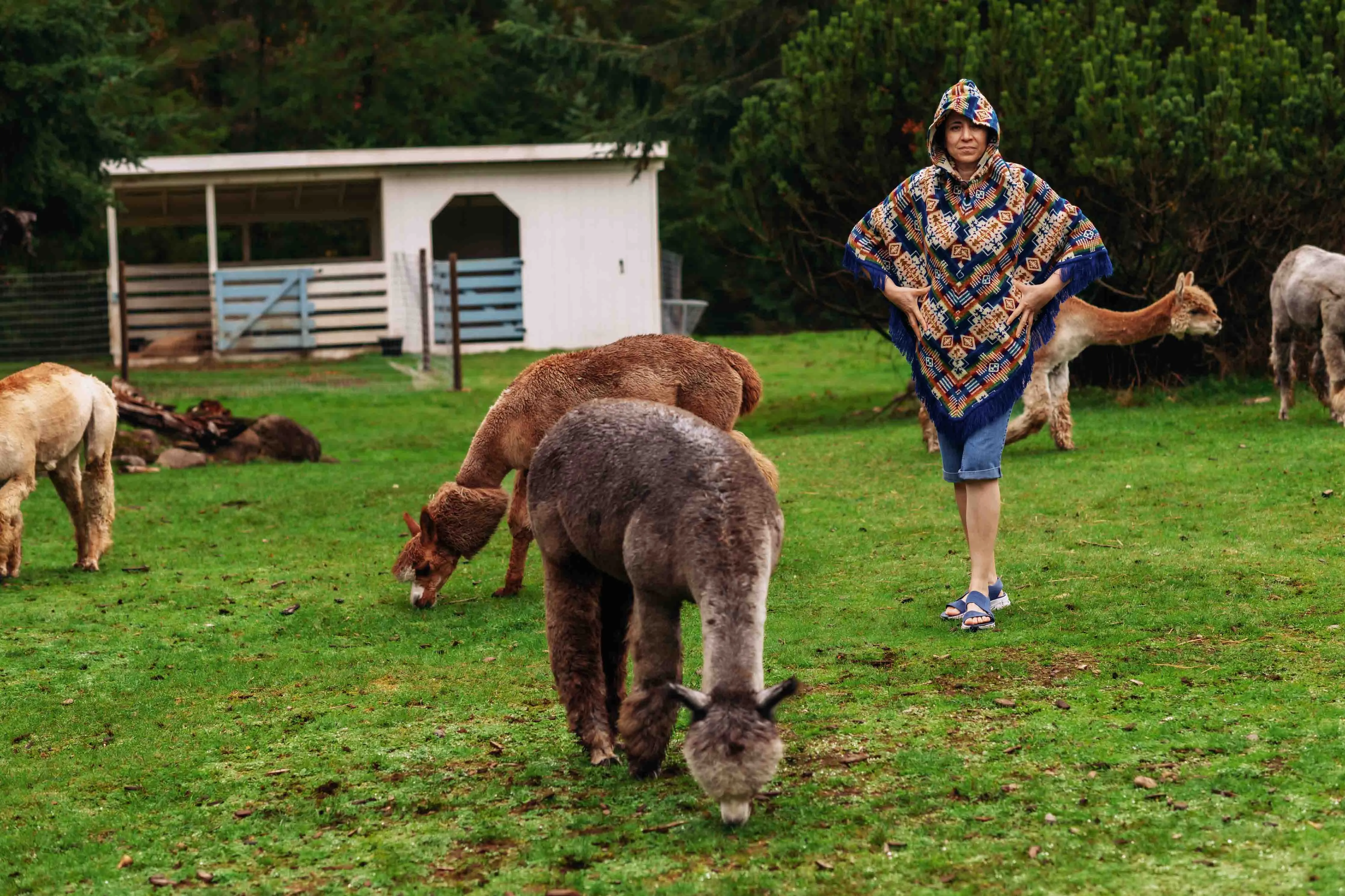 San Borja - Blue Rainbow - Alpaca Poncho with Native Pattern Triangular Design