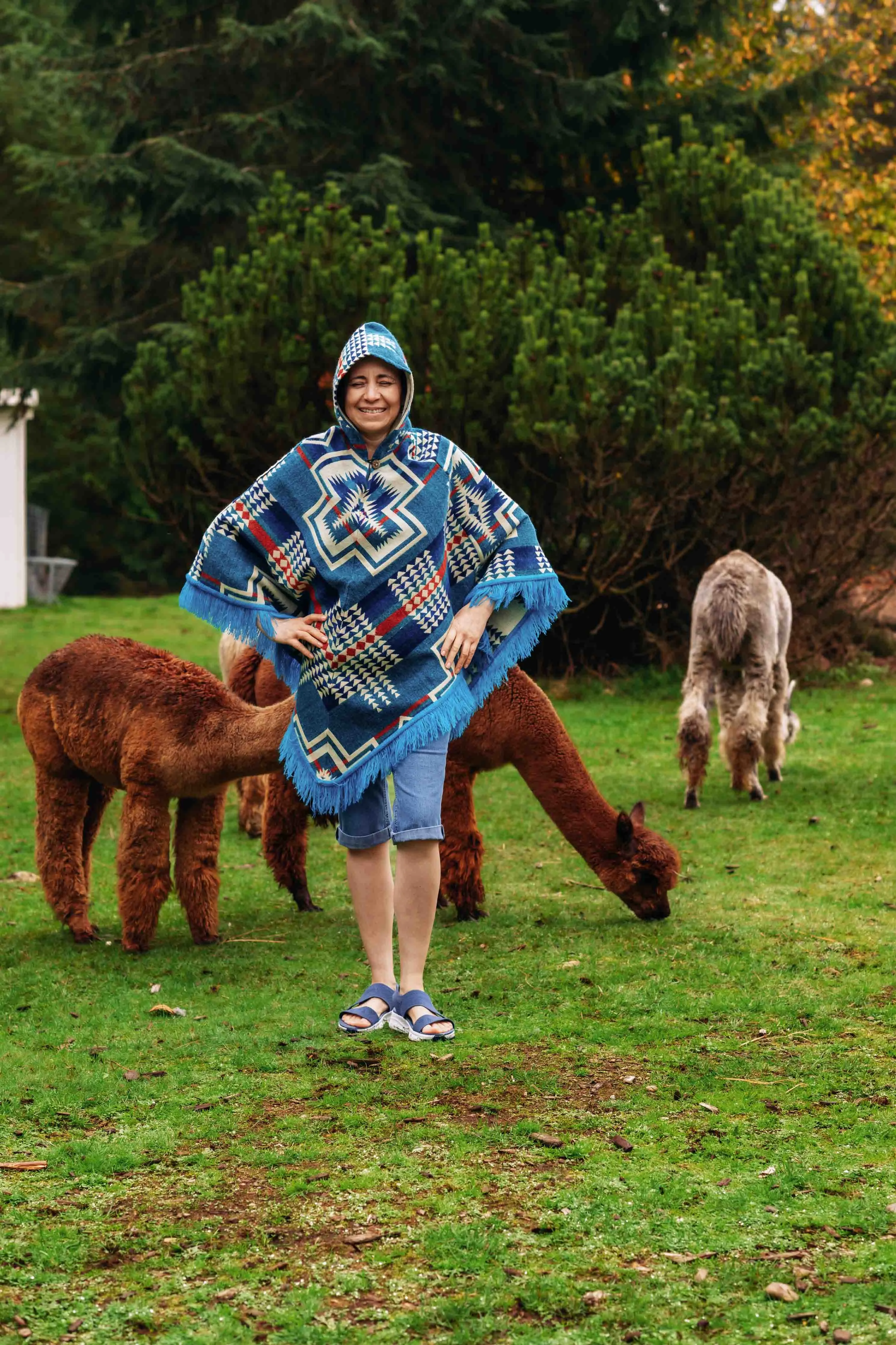 San Borjas - Azul - Alpaca Poncho with Native Pattern Triangular Design