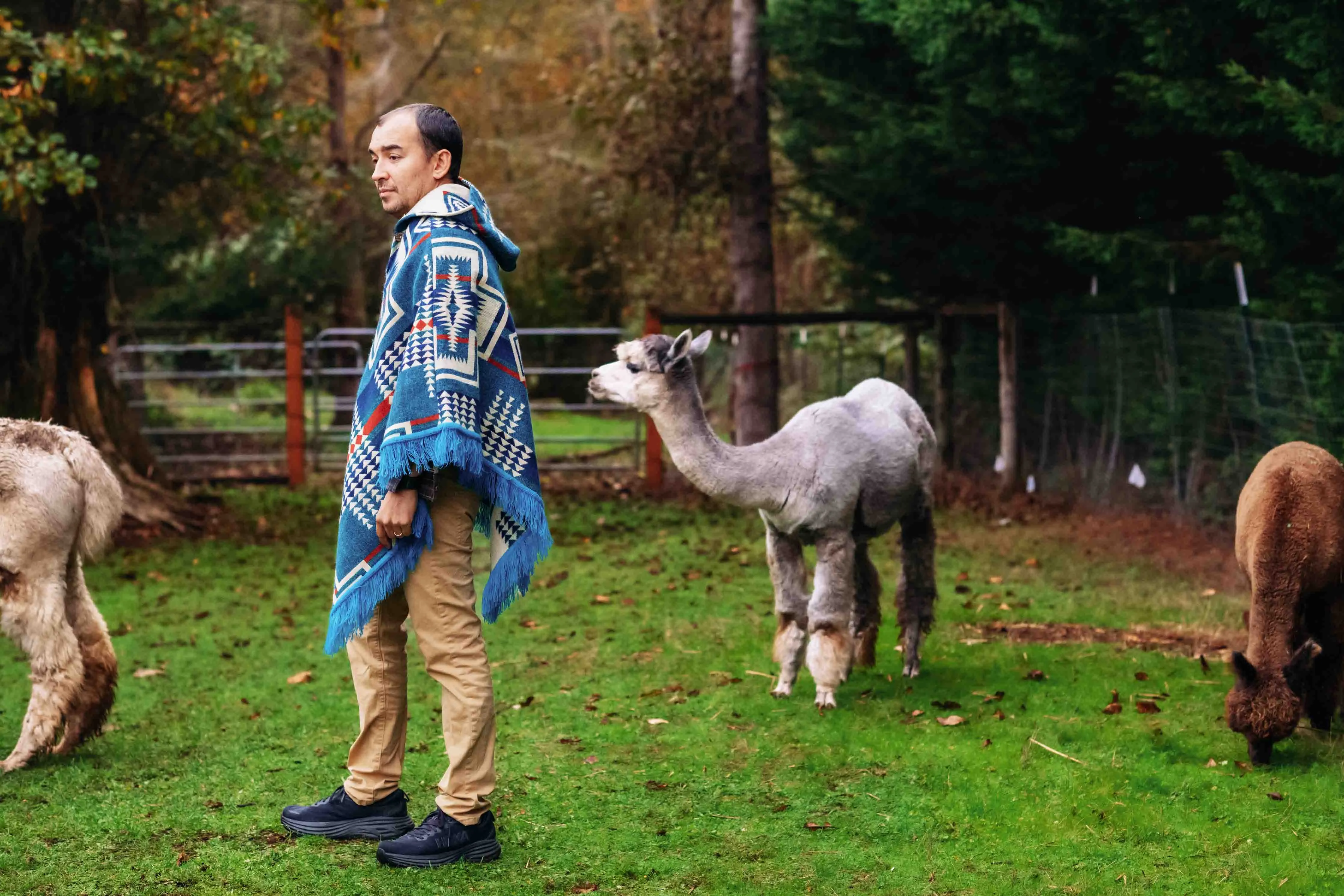 San Borjas - Azul - Alpaca Poncho with Native Pattern Triangular Design