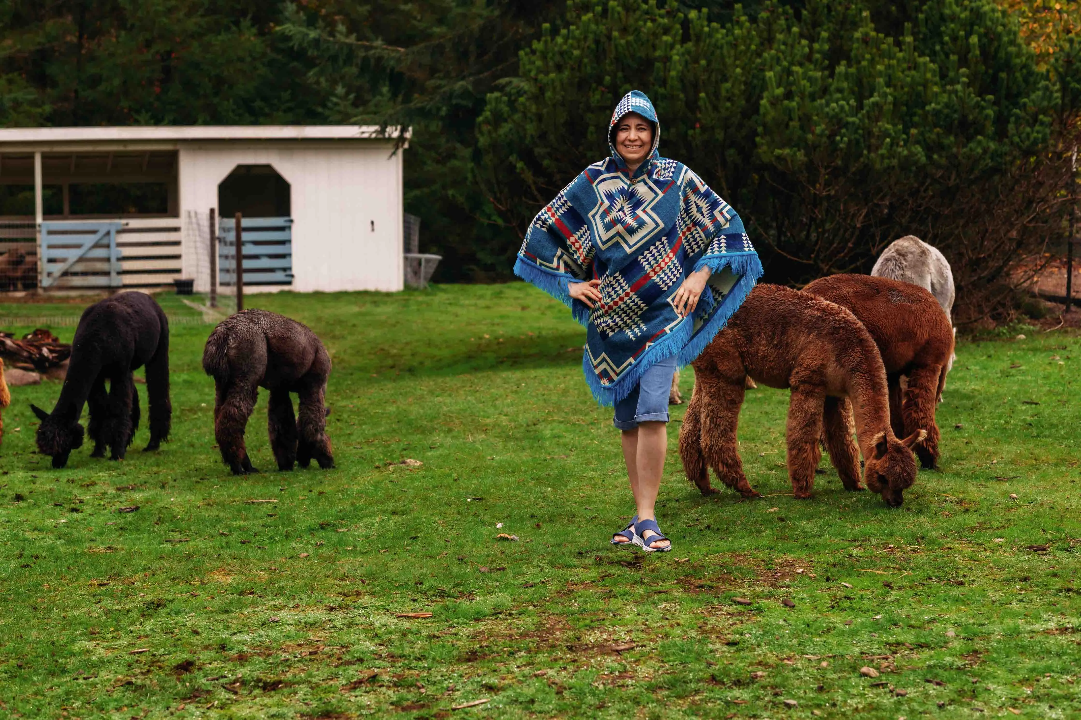 San Borjas - Azul - Alpaca Poncho with Native Pattern Triangular Design