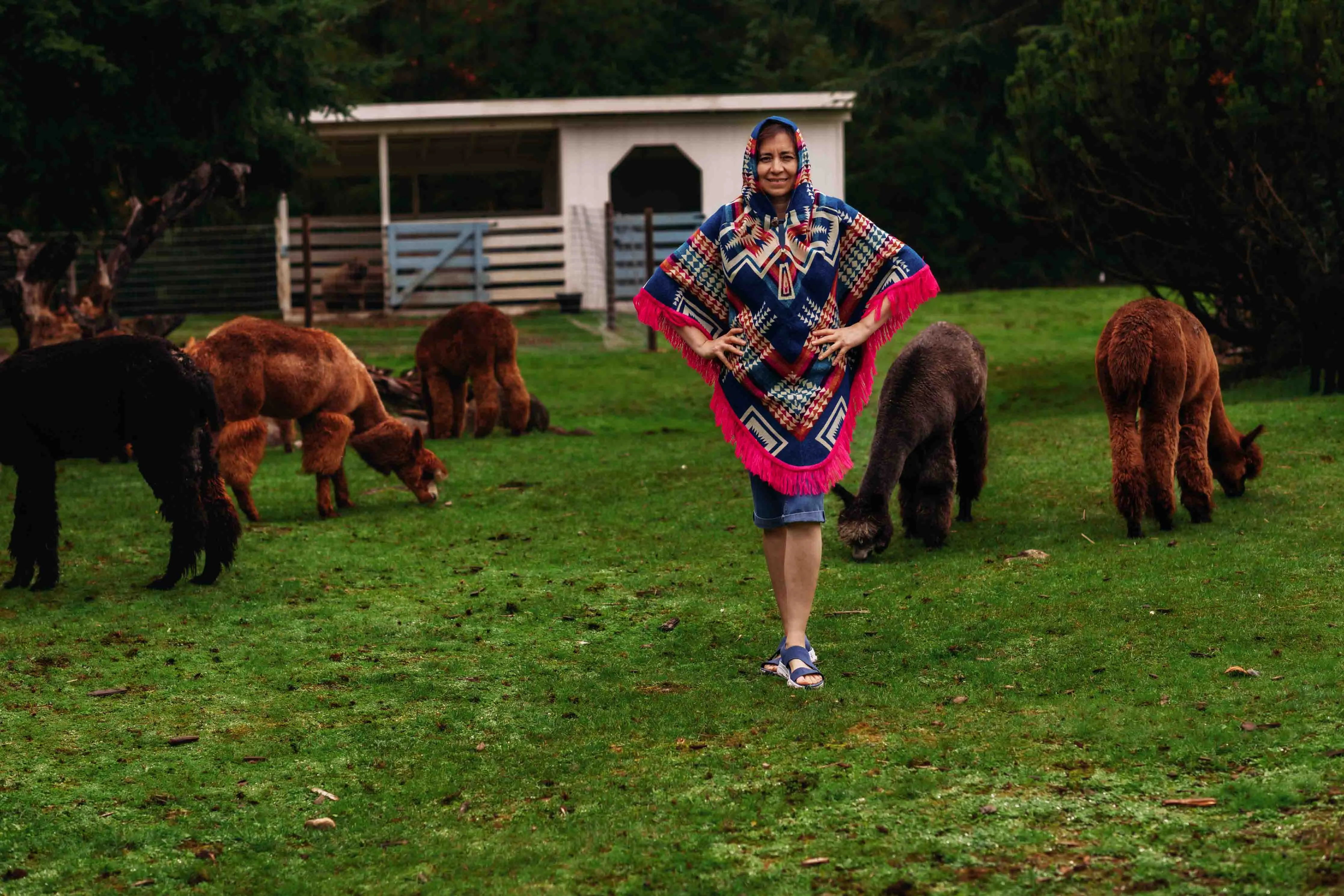 San Borjas - Pink - Alpaca Poncho with Native Pattern Triangular Design