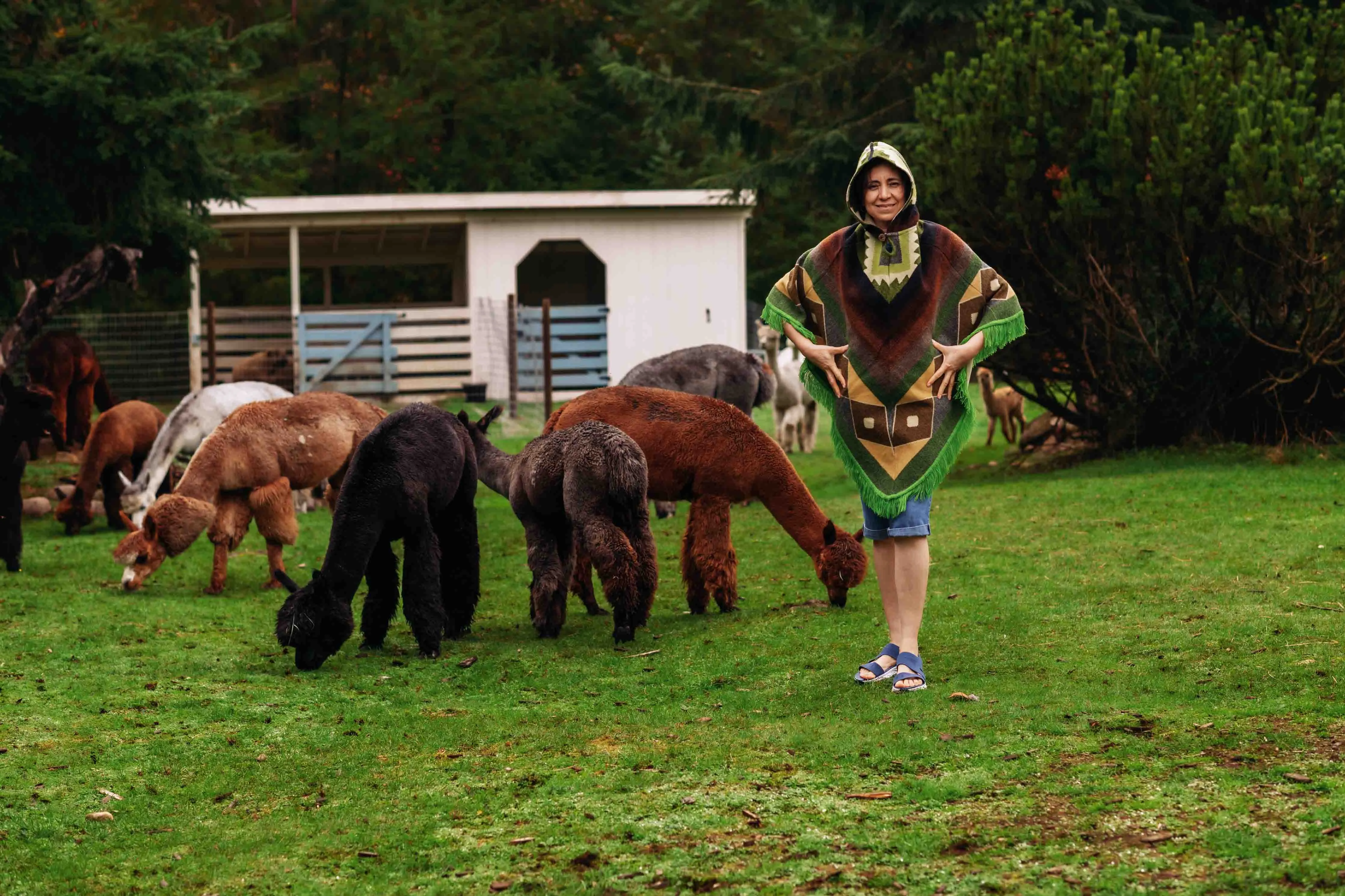 San Isidro - Oasis - Alpaca Poncho with Native Pattern Triangular Design