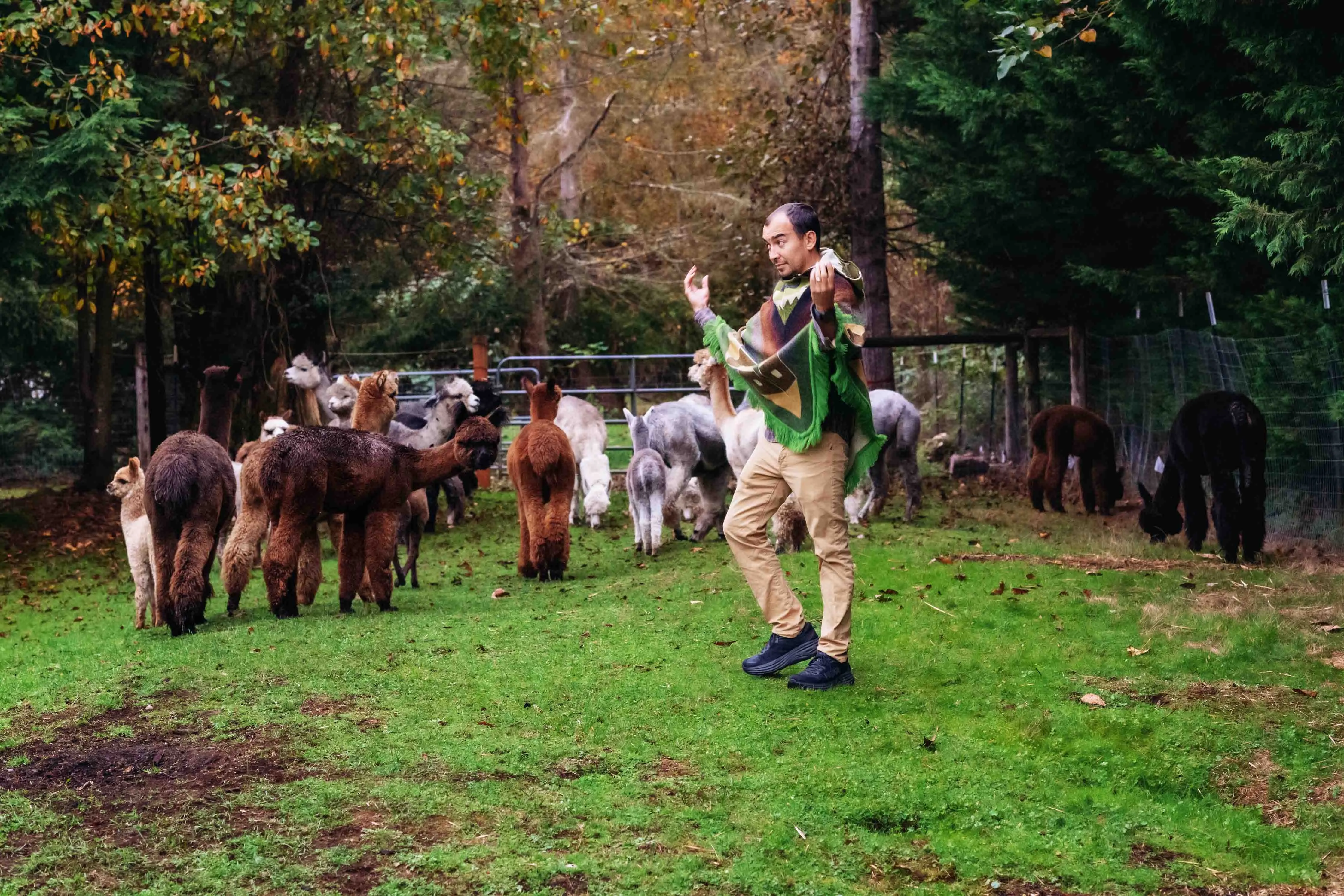 San Isidro - Oasis - Alpaca Poncho with Native Pattern Triangular Design