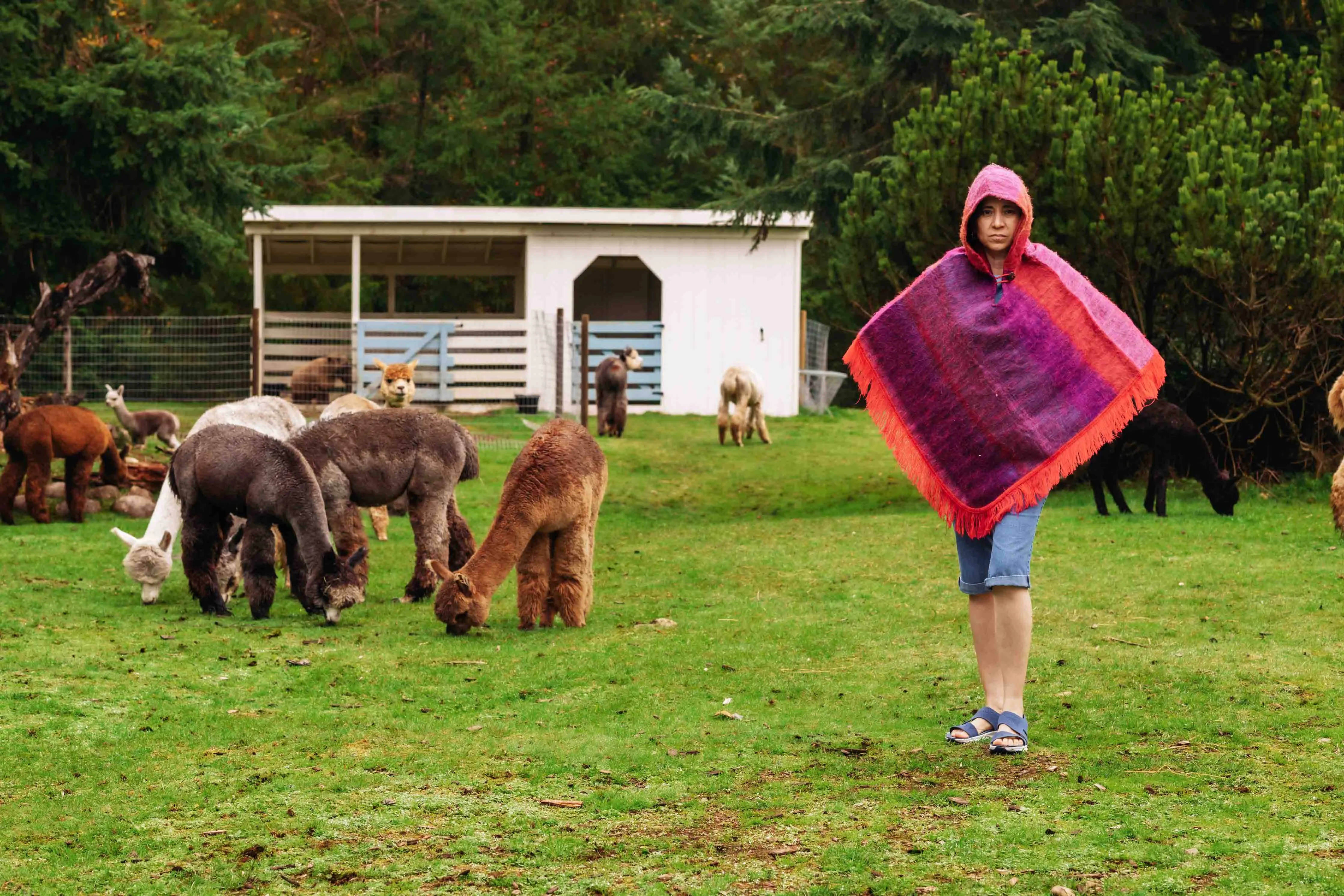 Sunset Felted Alpaca Poncho with Native Pattern Triangular Design