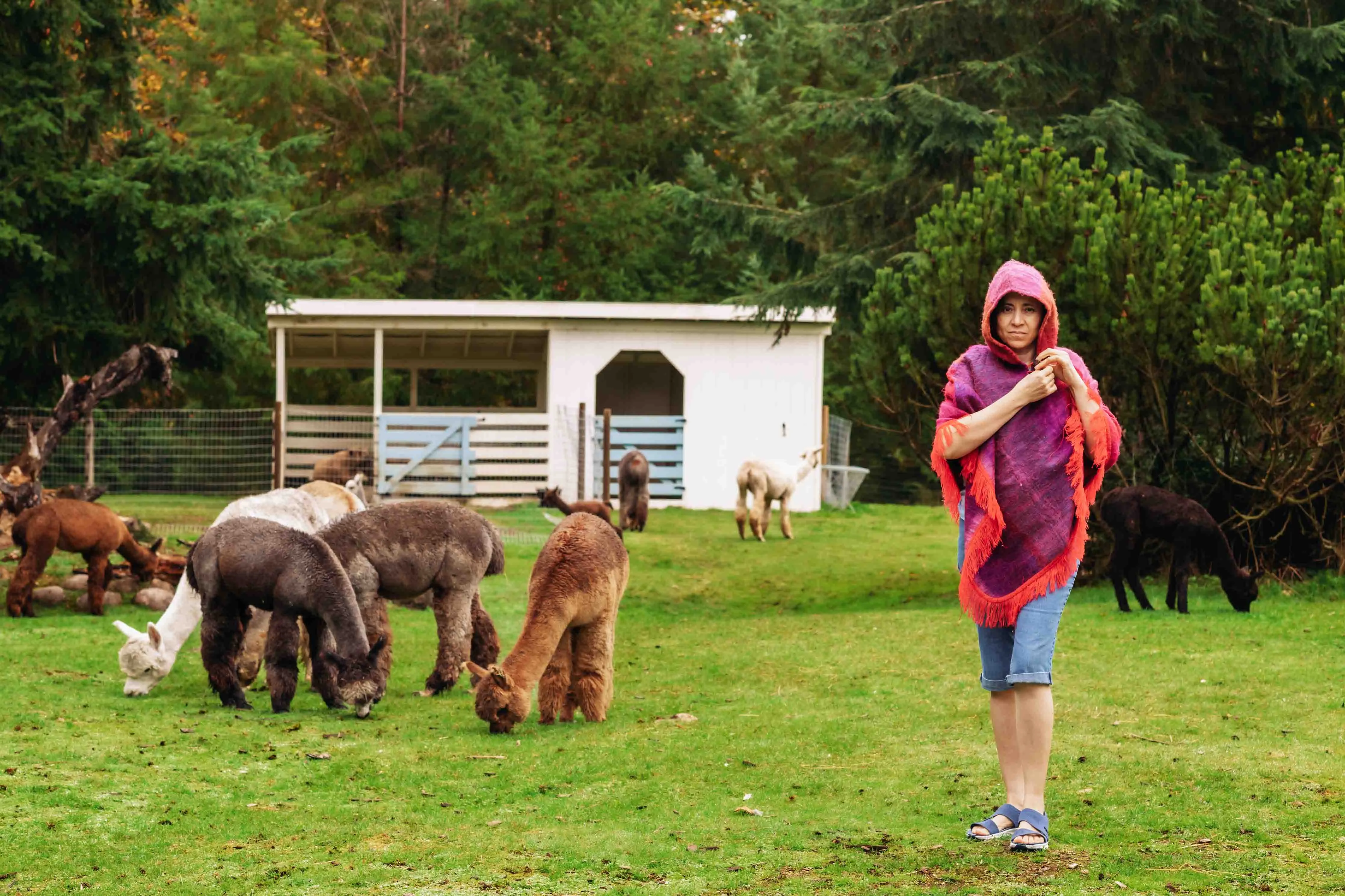 Sunset Felted Alpaca Poncho with Native Pattern Triangular Design