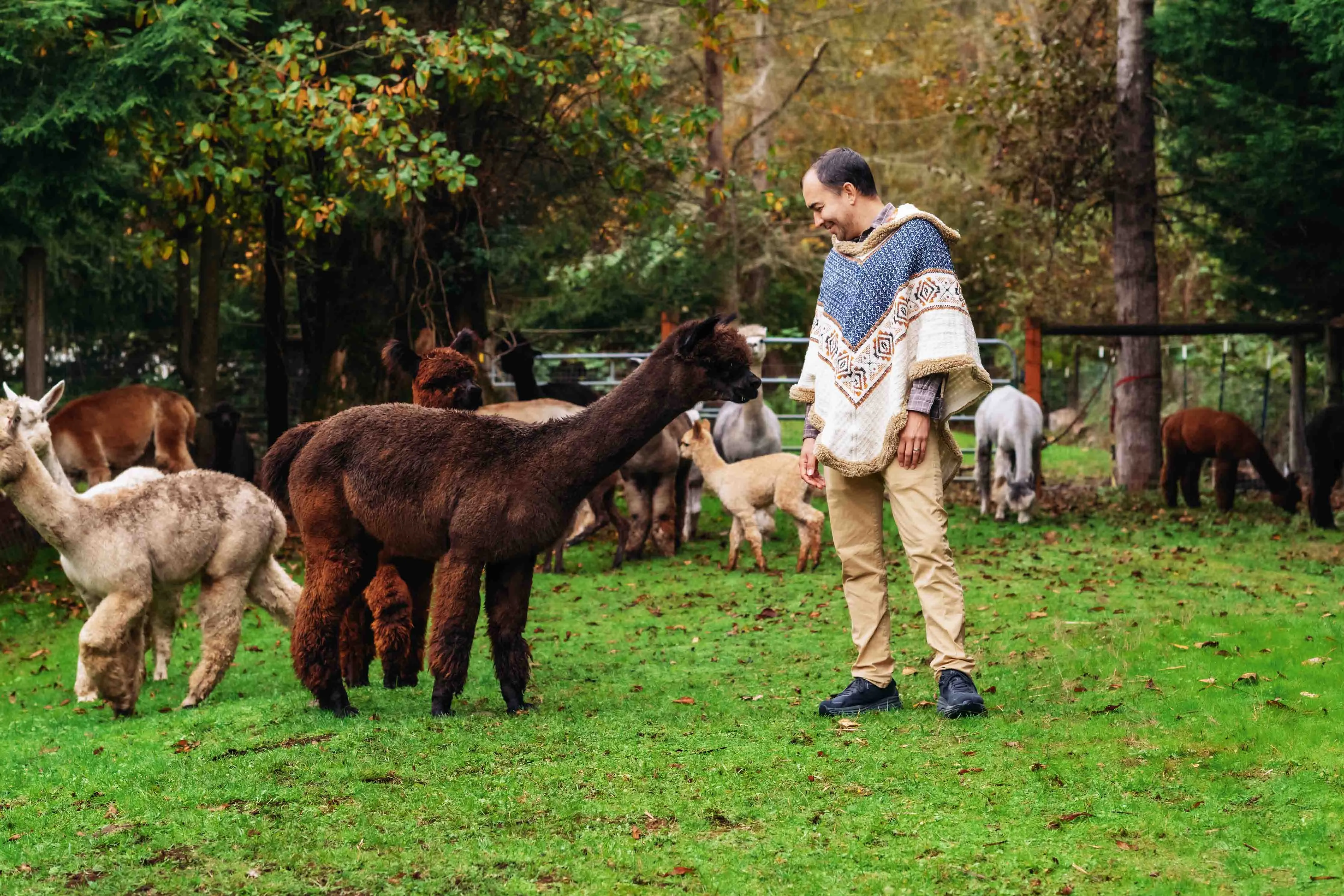 The Inca King - Natural - Alpaca Ruana Poncho with Native Pattern Triangular Design