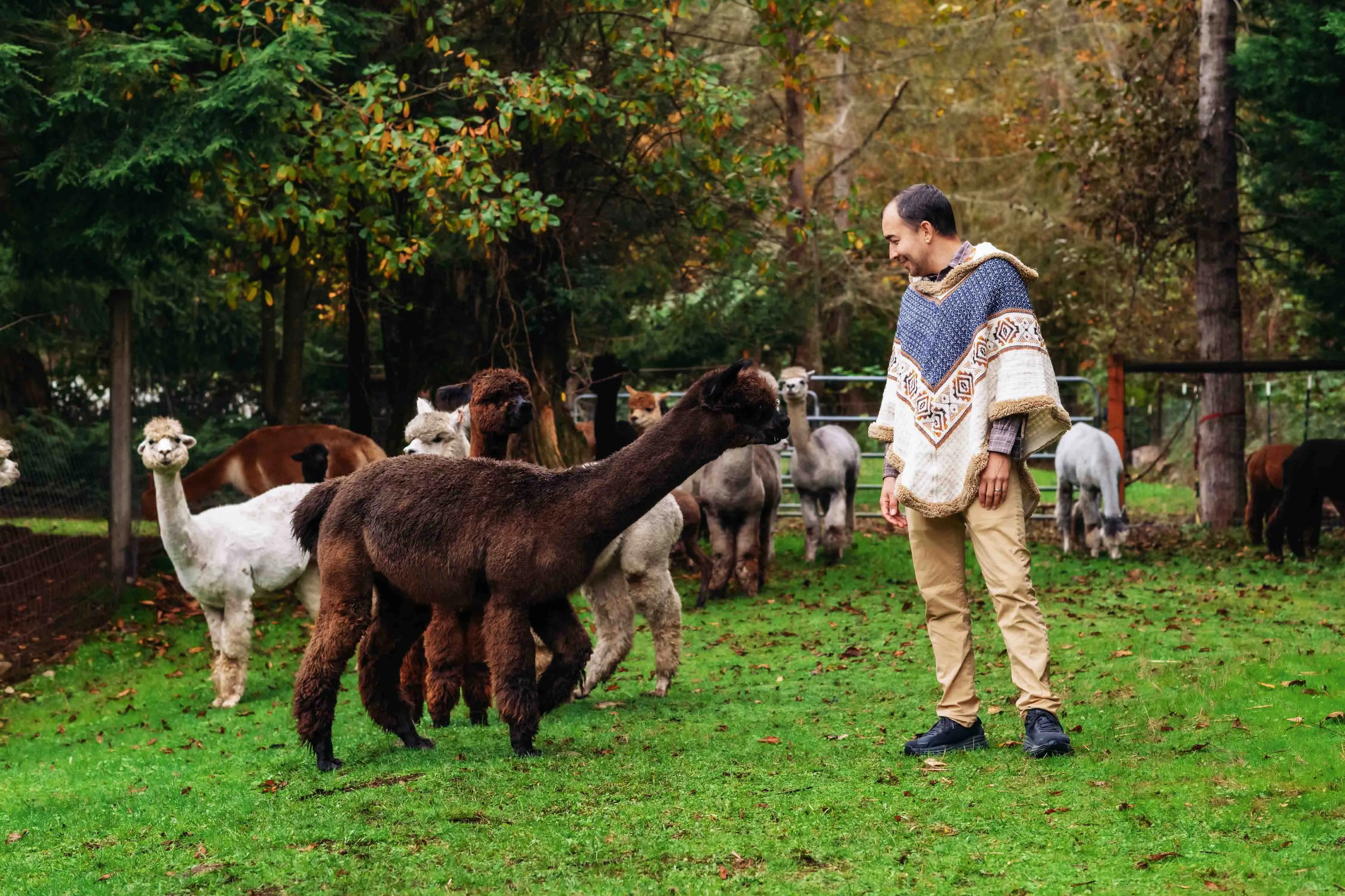 The Inca King - Natural - Alpaca Ruana Poncho with Native Pattern Triangular Design